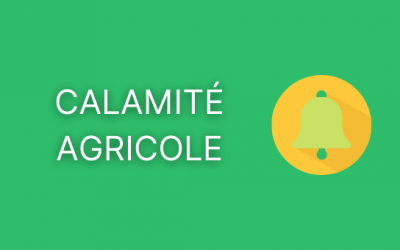 Calamité agricole