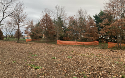 Fouilles archéologiques