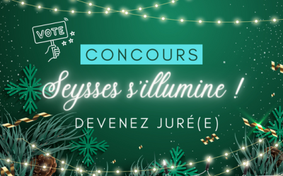 Concours photo « Seysses s’illumine »