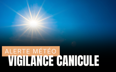 Canicule : Adoptez les Bons Réflexes !