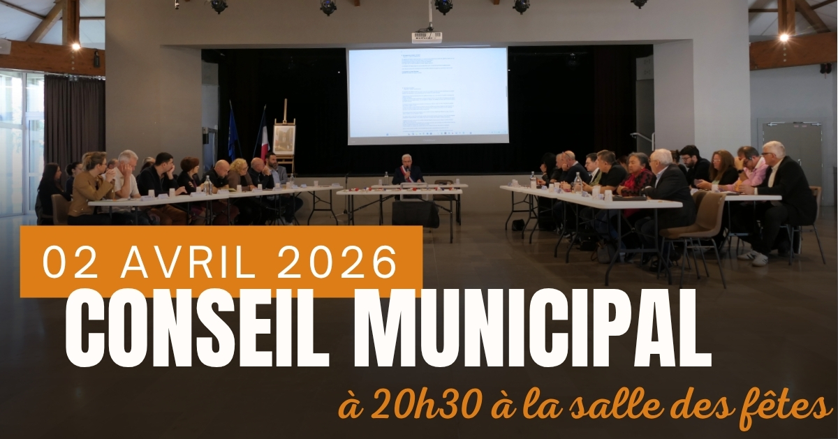 conseil municipal – 0204 – évènement facebook (1)