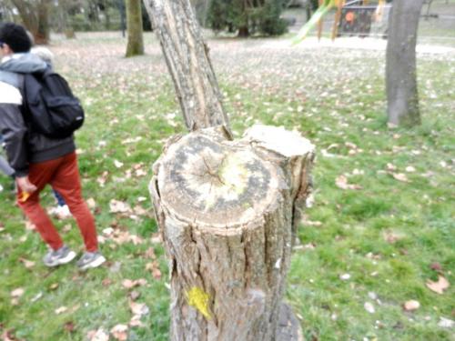 PAJ chantiers loisirs fev 2019 balisage Bourdette Paucheville 50