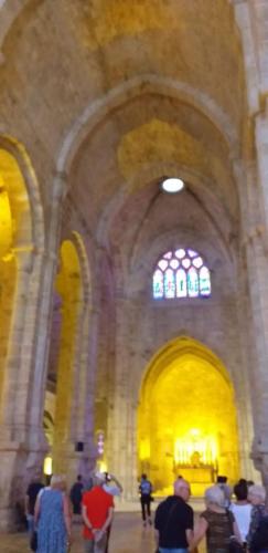 CCAS 25 06 19 Abbaye de Fontfroide 34