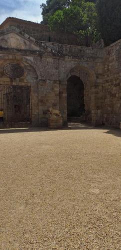 CCAS 25 06 19 Abbaye de Fontfroide 37