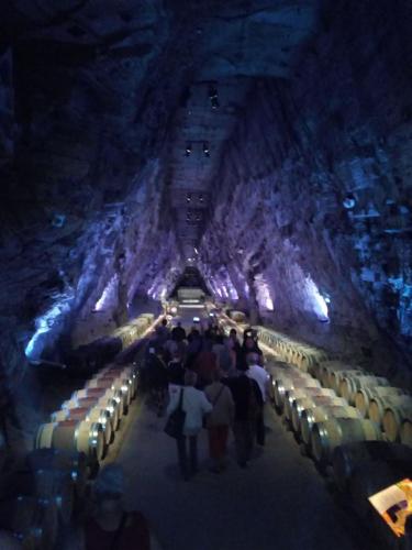 CCAS 25 06 19 Terra Vinea 31