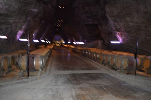 CCAS 25 06 19 Terra Vinea 32