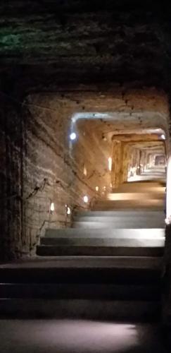 CCAS 25 06 19 Terra Vinea 33