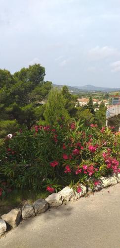 CCAS 25 06 19 Terra Vinea 34